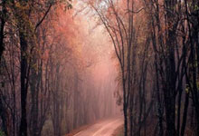 爱游戏体育：勇士终结连败紧追快船：库里复出23+6 与巴特勒同场16胜2负.