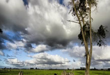 球星挑战赛：吴晙诚4-3战胜法国黑马，夺男单冠军，韩日冠军比3-2.